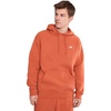New Balance Men’s Sport Essentials Fleece Hoodie(Cinnamon)