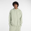 New Balance Men’s Sport Essentials Fleece Hoodie(Garter Snake)