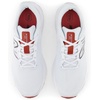 New Balance Men’s Fresh Foam Arishi V4 Running Shoe(Quartz Grey/Brick Red)
