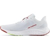 New Balance Men’s Fresh Foam Arishi V4 Running Shoe(Quartz Grey/Brick Red)