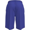 New Balance Men’s Baseball Tech Short(Team Royal)