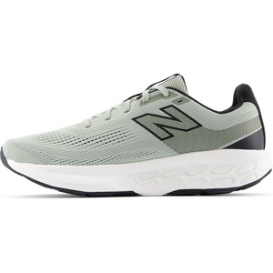 New Balance Men’s Fresh Foam 520 v9 Running Shoe(Garter Snake/Dark Olive)